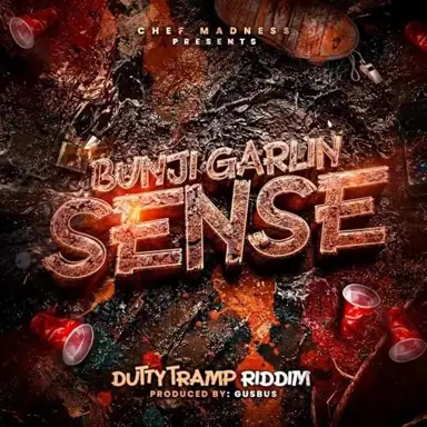Sense