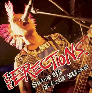 Stand Up Fuckin' Punks