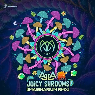 Juicy Shrooms (Imaginarium RMX)