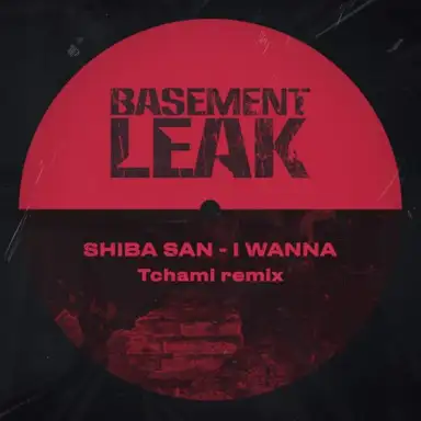 I Wanna (Tchami remix)