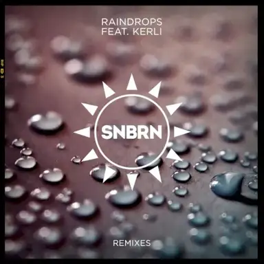 Raindrops (remixes)