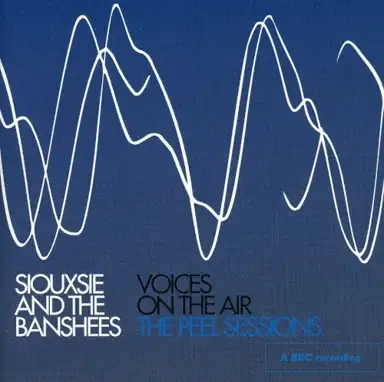 Voices on the Air: The Peel Sessions