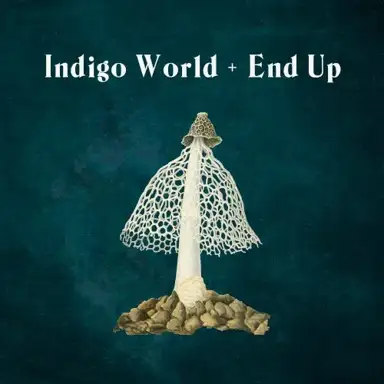 Indigo World / End Up