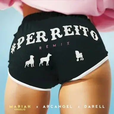 Perreito (remix)