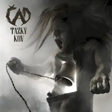Ťažký kov