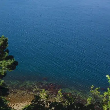 Blue Water (demo)
