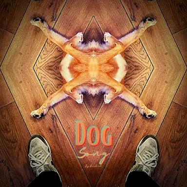 Dog Song