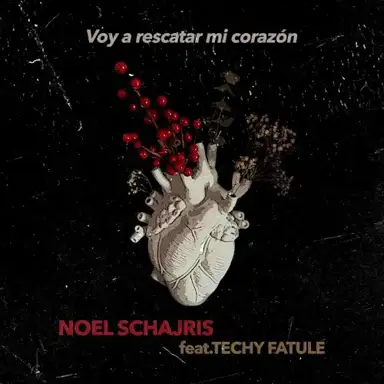 Voy a rescatar mi corazón