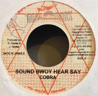 Sound Bwoy Hear Say / I Am Wicked