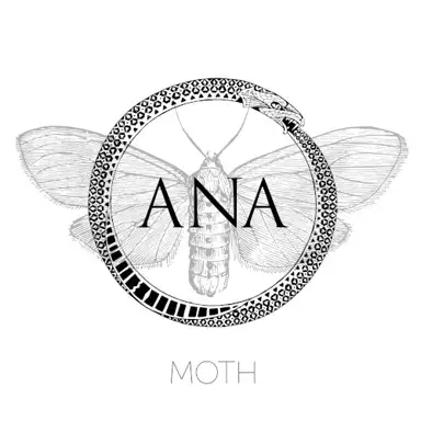 Moth