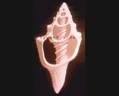 wayward [side b]