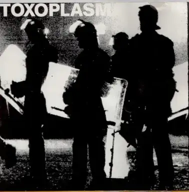 Toxoplasma