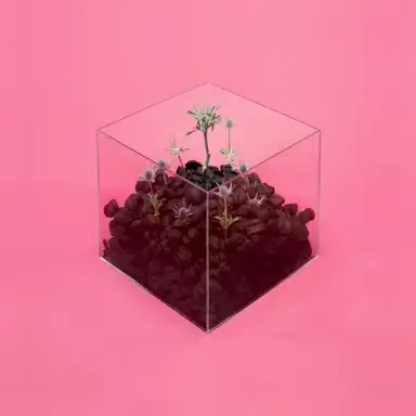 Wake