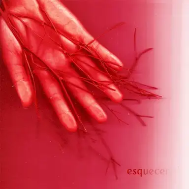 Esquecer