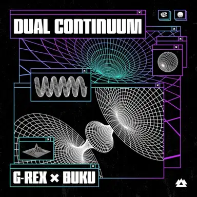 Dual Continuum