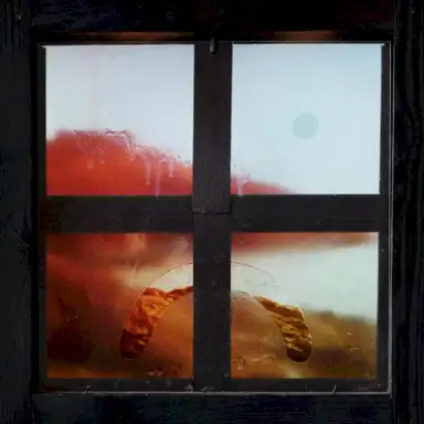 The Sorry Window