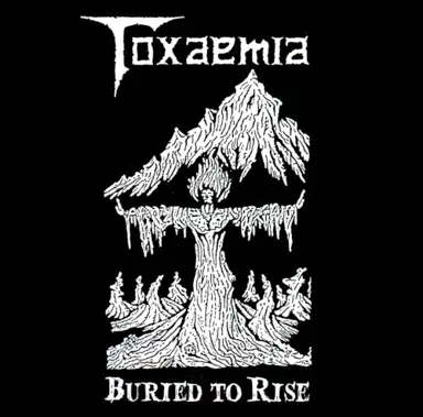 Buried to Rise: 1990–1991 Discography