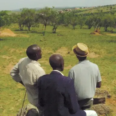 Obuhangwa bwa Banyankore na Bahororo
