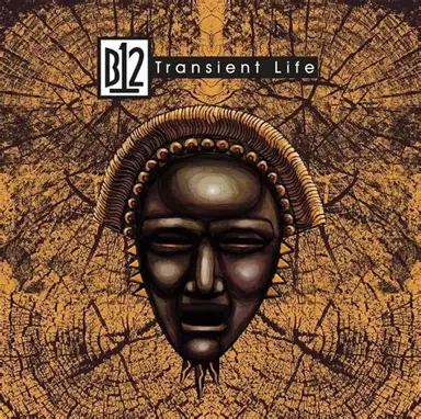 Transient Life