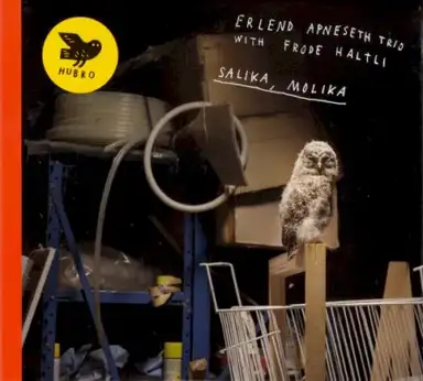 Salika, Molika
