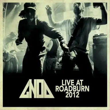 Live at Roadburn 2012
