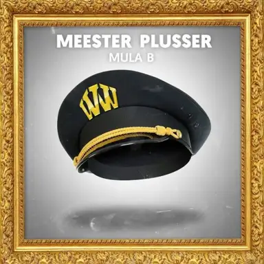 Meesterplusser