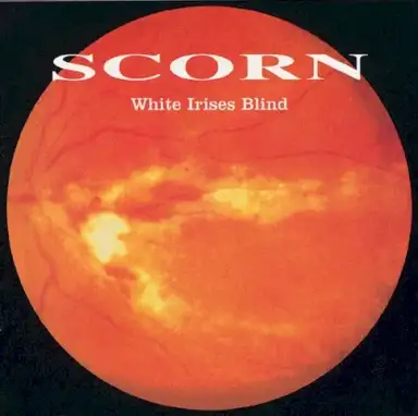 White Irises Blind