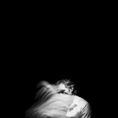Vestige