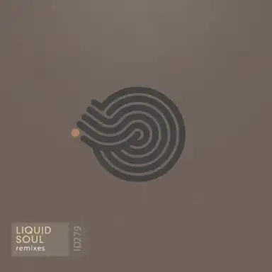 Remixes