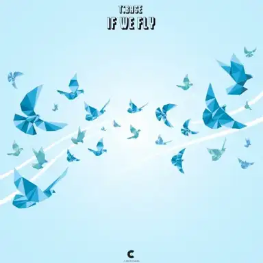 If We Fly