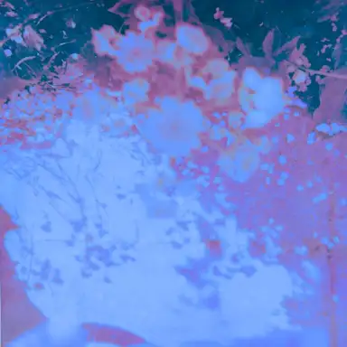 Burst