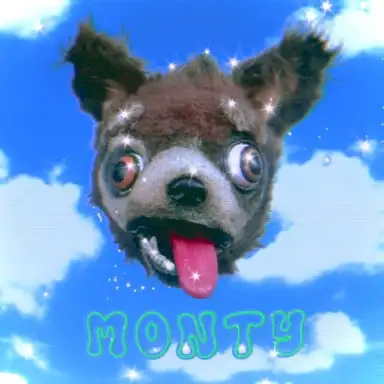 monty (＾ᴥ＾)