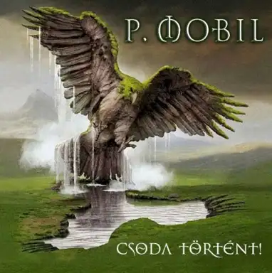 Csoda történt