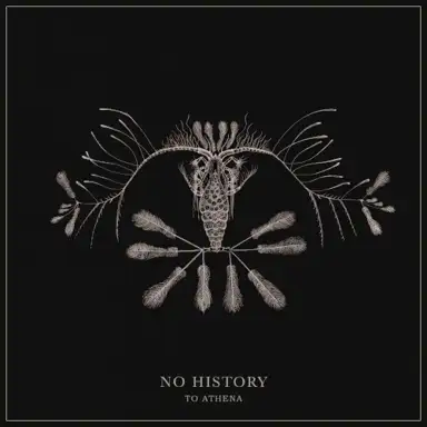 No History