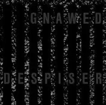 Despiser