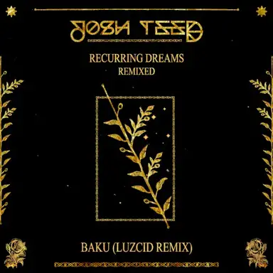 Baku (LUZCID remix)