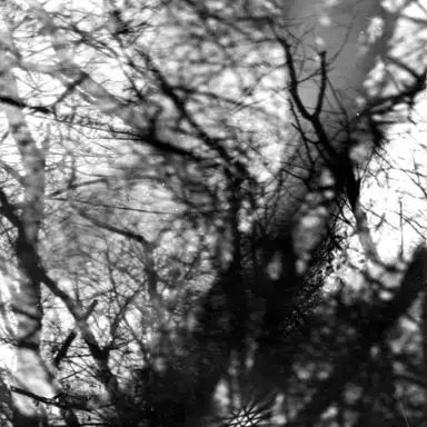 Way Their Crept