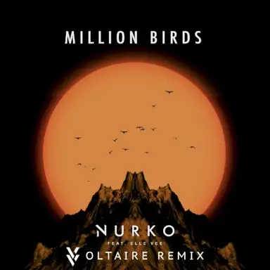 Million Birds (Voltaire remix)