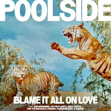 Blame It All on Love