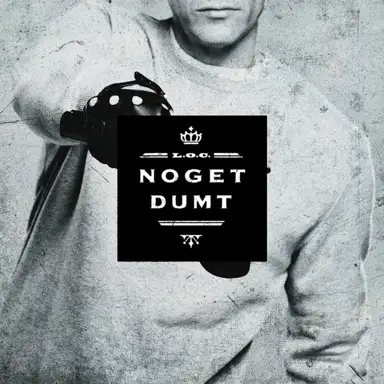 Noget Dumt