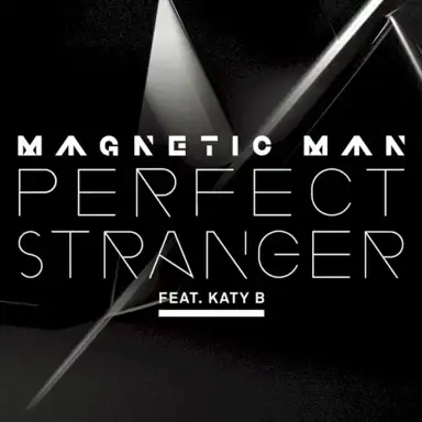Perfect Stranger