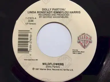 Wildflowers / Hobo’s Meditation