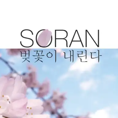 벚꽃이 내린다