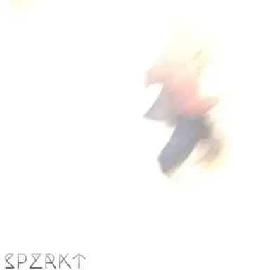#SPZRK3