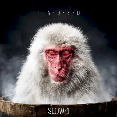 The Art Of Slowing Down