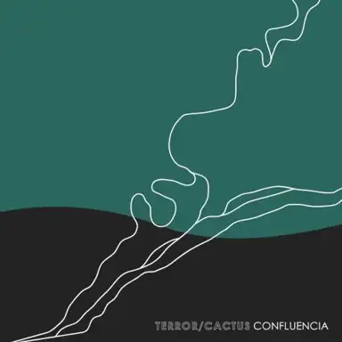 Confluencia