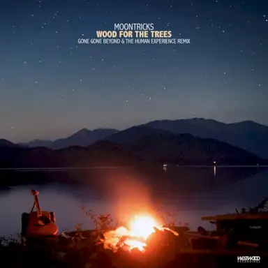 Wood for the Trees (Gone Gone Beyond & The Human Experience remix)