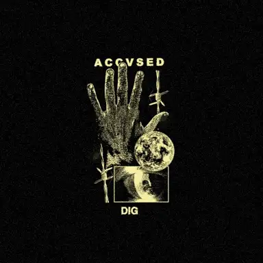 Dig
