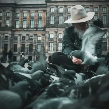 The Trust Of Crows
