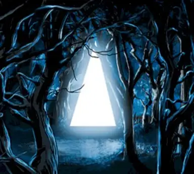 Through Woven Branches